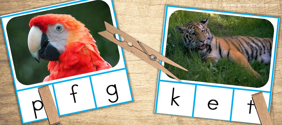 Jungle PreK Literacy Activities